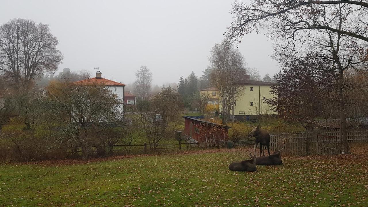 Trevligt Hus Med Egen Gard Och Fri Wifi, Emmaboda Kommun, Lindas Exterior photo